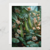 豆のさや | スウィートスプラウト 招待状 (正面/裏面)