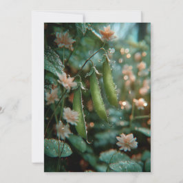 豆のさや | スウィートスプラウト 招待状