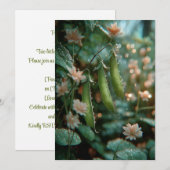 豆のさや | スウィート スプラウト 招待状 (正面/裏面)