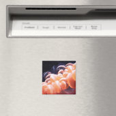 豆のリスト8x8 マグネット (インサイチュ (食洗機))