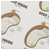 豆の解剖学のユーモアの中の種 ファブリック (クローズアップ)