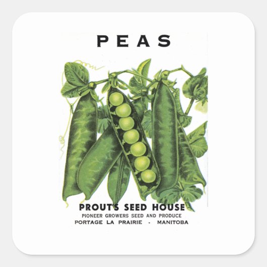 豆シードパケットラベル スクエアシール (正面)