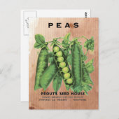 豆シードパケット ポストカード (正面/裏面)