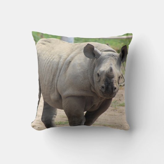 豆谷 クッション (正面)