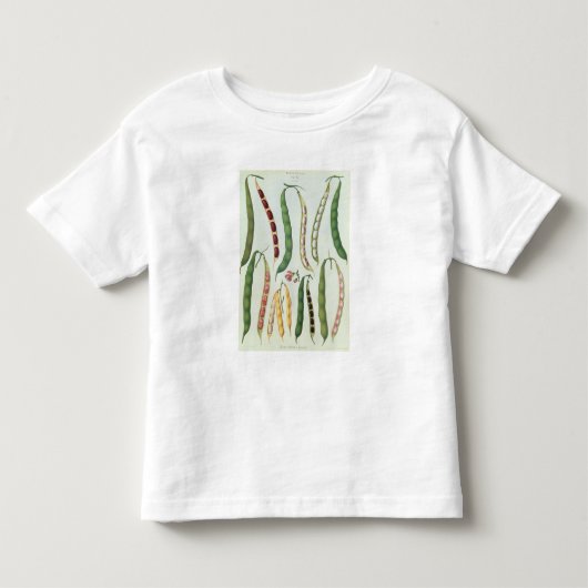豆 トドラーTシャツ (正面)