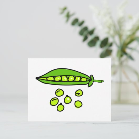 豆 ポストカード (スタンド正面)