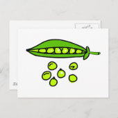 豆 ポストカード (正面/裏面)