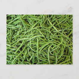 豆 ポストカード