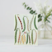 豆 ポストカード (スタンド正面)