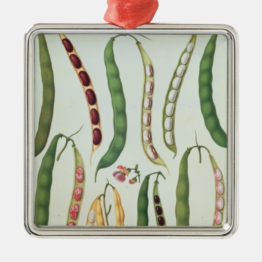 豆 メタルオーナメント (正面)