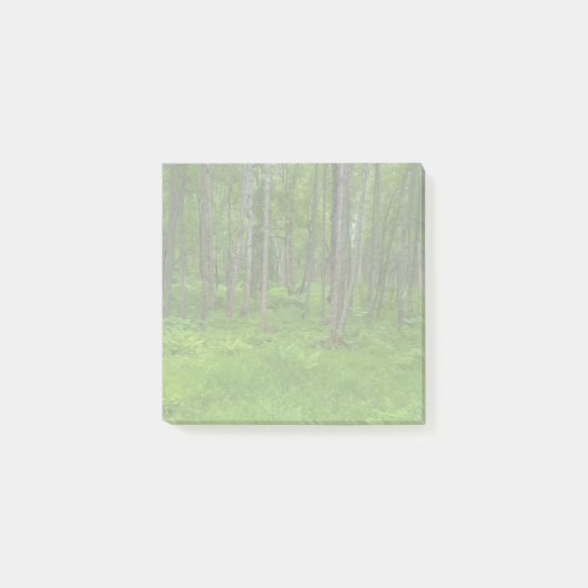 豊かな緑の森の風景 ポストイット (正面)