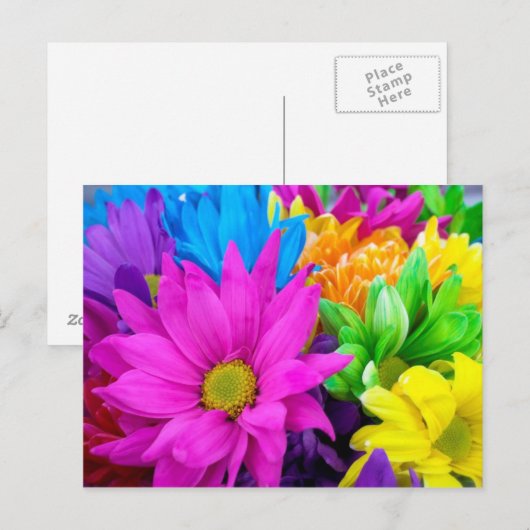 豊かな花 ポストカード (正面/裏面)