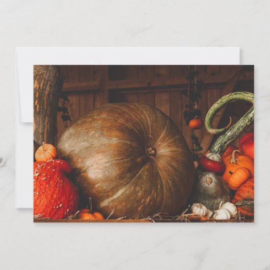 豊作感謝祭カスタム 招待状 (裏面)