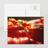 豊作 ポストカード (正面/裏面)