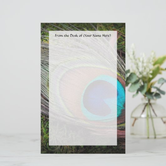 豊富で、エレガントな孔雀の羽の写真 便箋 (スタンド正面)