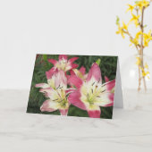 豊富なグリーティングカード カード (黄色い花)