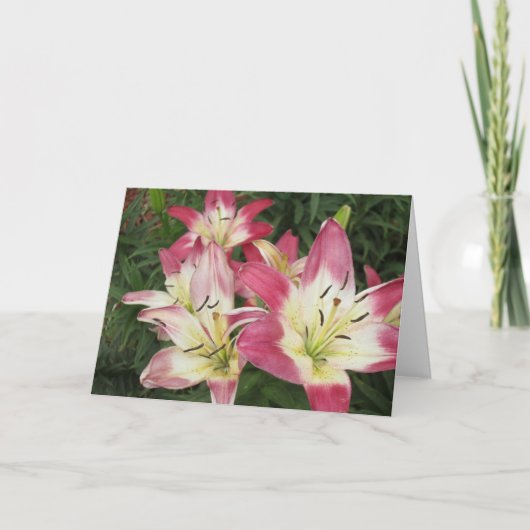 豊富なグリーティングカード カード (正面)