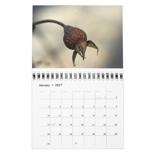 豊富な地球から カレンダー (1月 2027)