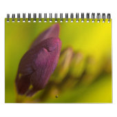 豊富な地球から カレンダー (カバー)