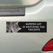 豊富な猫はテールゲート45を見ています バンパーステッカー (車上)
