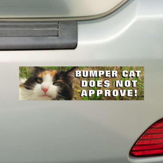 豊富な猫はミームを承認しません バンパーステッカー (車上)