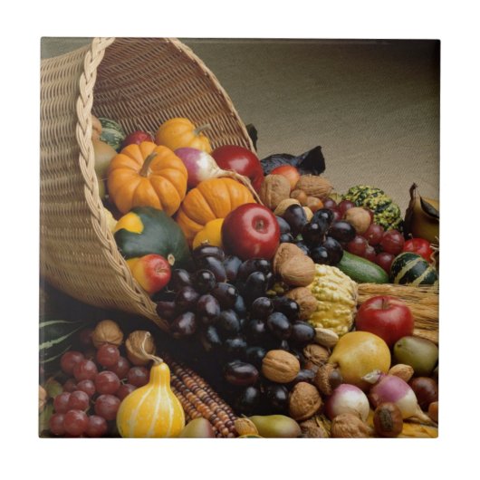 豊穣の角 タイル (正面)