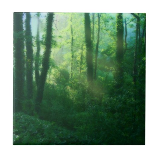 豊饒の装飾タイル タイル (正面)