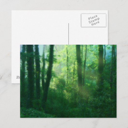 豊饒はがき ポストカード (正面/裏面)