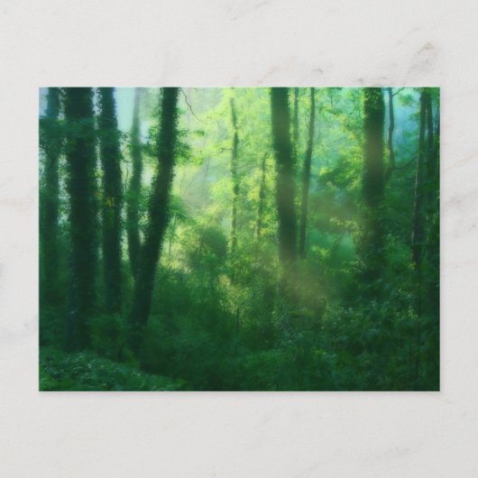 豊饒はがき ポストカード (正面)