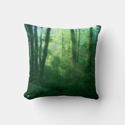 豊饒まくら クッション (正面)