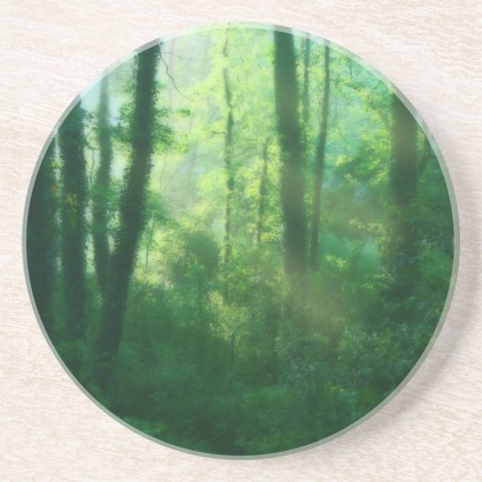 豊饒コースター コースター (正面)