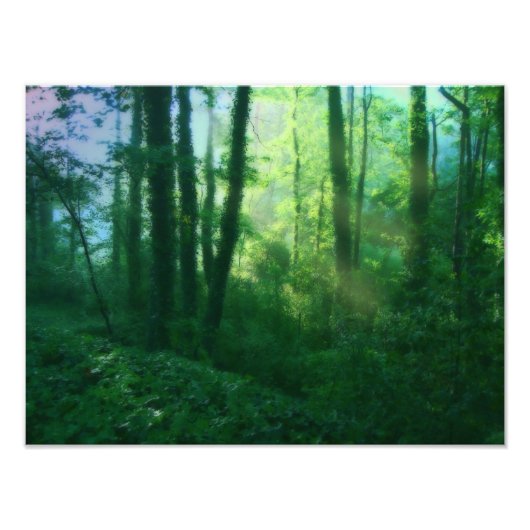 豊饒フォトプリント フォトプリント            (正面)