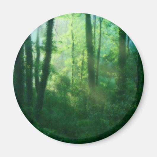 豊饒マグネット マグネット (正面)