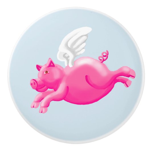 豚がバージョン2を飛ぶ時 セラミックノブ (正面)