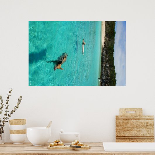 豚が泳ぐ時 ポスター (キッチン)