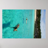 豚が泳ぐ時 ポスター (正面)