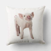豚が立って見上げる クッション (裏面)