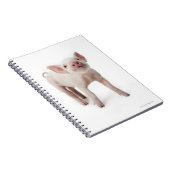 豚が立って見上げる ノートブック (右側)