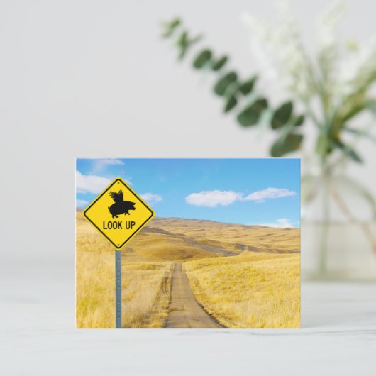 豚が飛ぶように目を上げる ポストカード (スタンド正面)