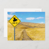 豚が飛ぶように目を上げる ポストカード (正面/裏面)