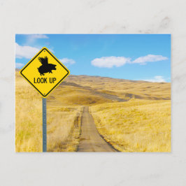 豚が飛ぶように目を上げる ポストカード