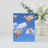 豚が飛ぶ時 ポストカード (スタンド正面)