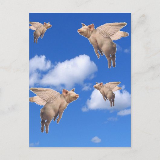 豚が飛ぶ時 ポストカード (正面)