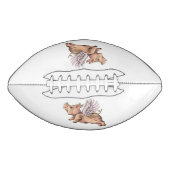 豚が飛ぶ アメリカンフットボール (正面)