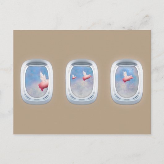 豚が飛行機の窓を通過する ポストカード (正面)