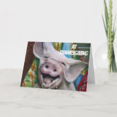 豚さん、感謝祭食べCでトルコをもっと増やすと言う シーズンカード (正面)