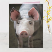 豚とキスの豚のカード カード (黄色い花)