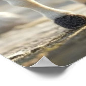 豚と彼のステッド：ウィムシーの旅 ポスター (角)