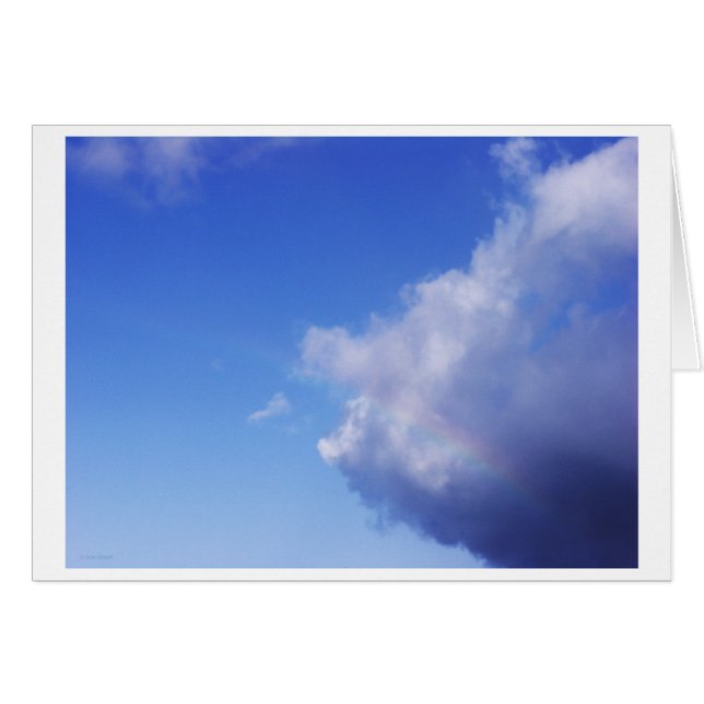 豚と虹の (正面横)