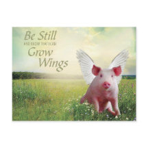 豚に対する信仰